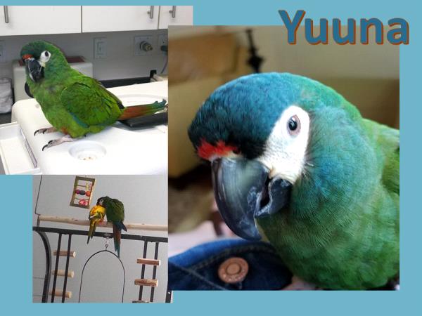 /Images/uploads/Congregation Beth Emeth/bethemeth/entries/17541thumb.jpg